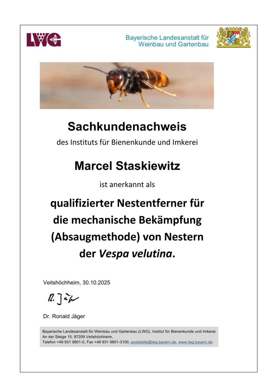 SKN Marcel Staskiewitz